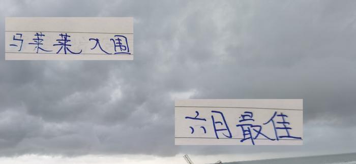前申花名宿马莱莱跟 现申花核心10号特谢拉 一起入围六月最佳评选